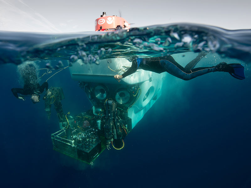 Illustration for article titled Alvin the Deep Sea Submersible is Half a Century Old!